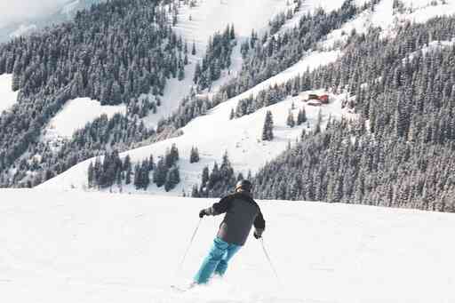 Person skiing in the mountains surrounded by a lot of fir trees