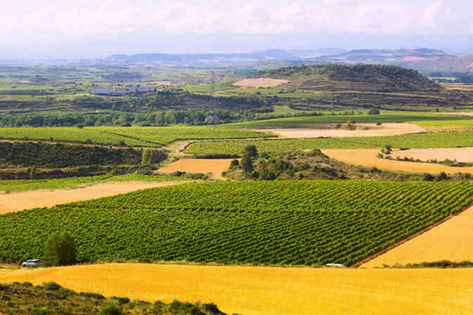 Spanish Wine Wonderland