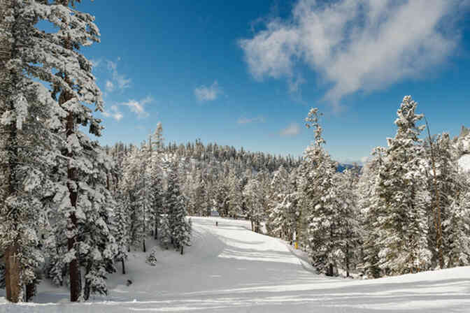 Embracing Winter Wonderland: The Top 3 Skiing Resorts in the USA