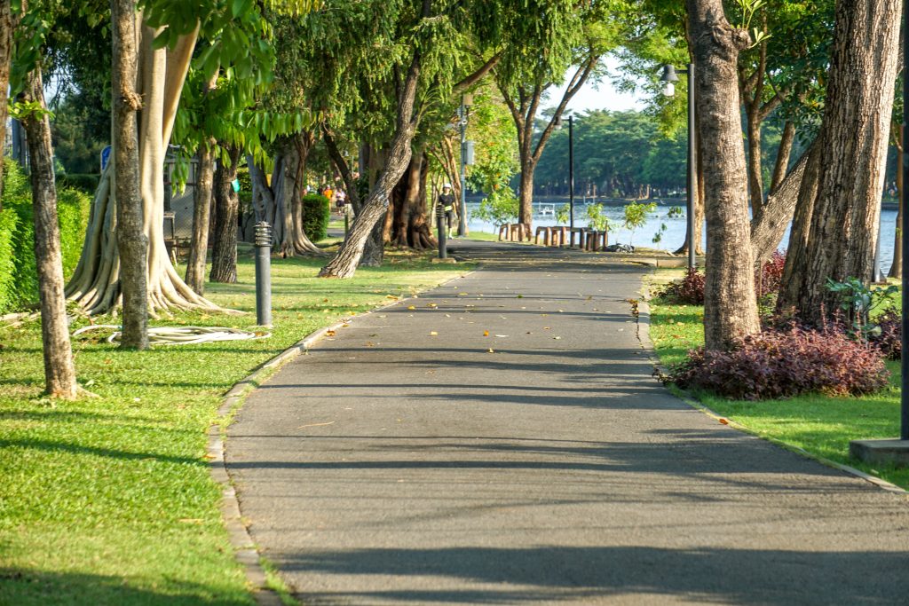 Exploring Miami’s Secret Gardens and Parks: Hidden Gems Beyond the Beach